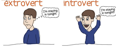 Extrovert introvert